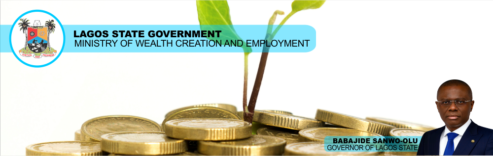 Ministry Of Wealth Creation And Employment – Lagos State Government